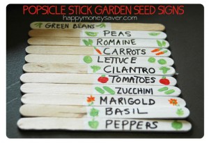 popsicle_stick_garden_seed_