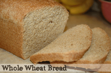 whole wheat bread recipe