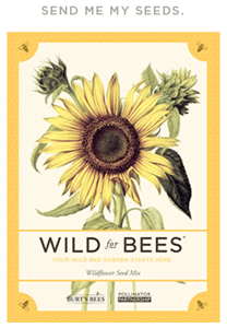 burts-bees-seeds