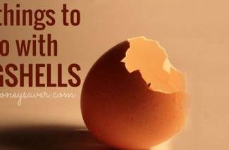 eggshells2