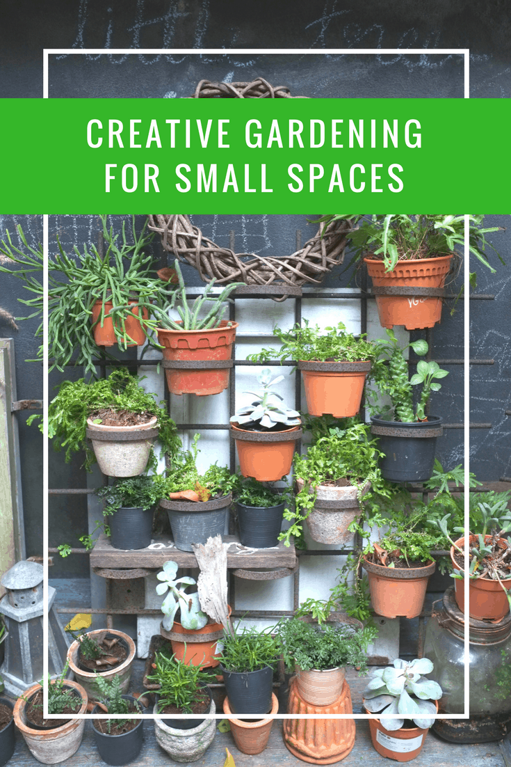 Creative Gardening for Small Spaces | Apartment Living