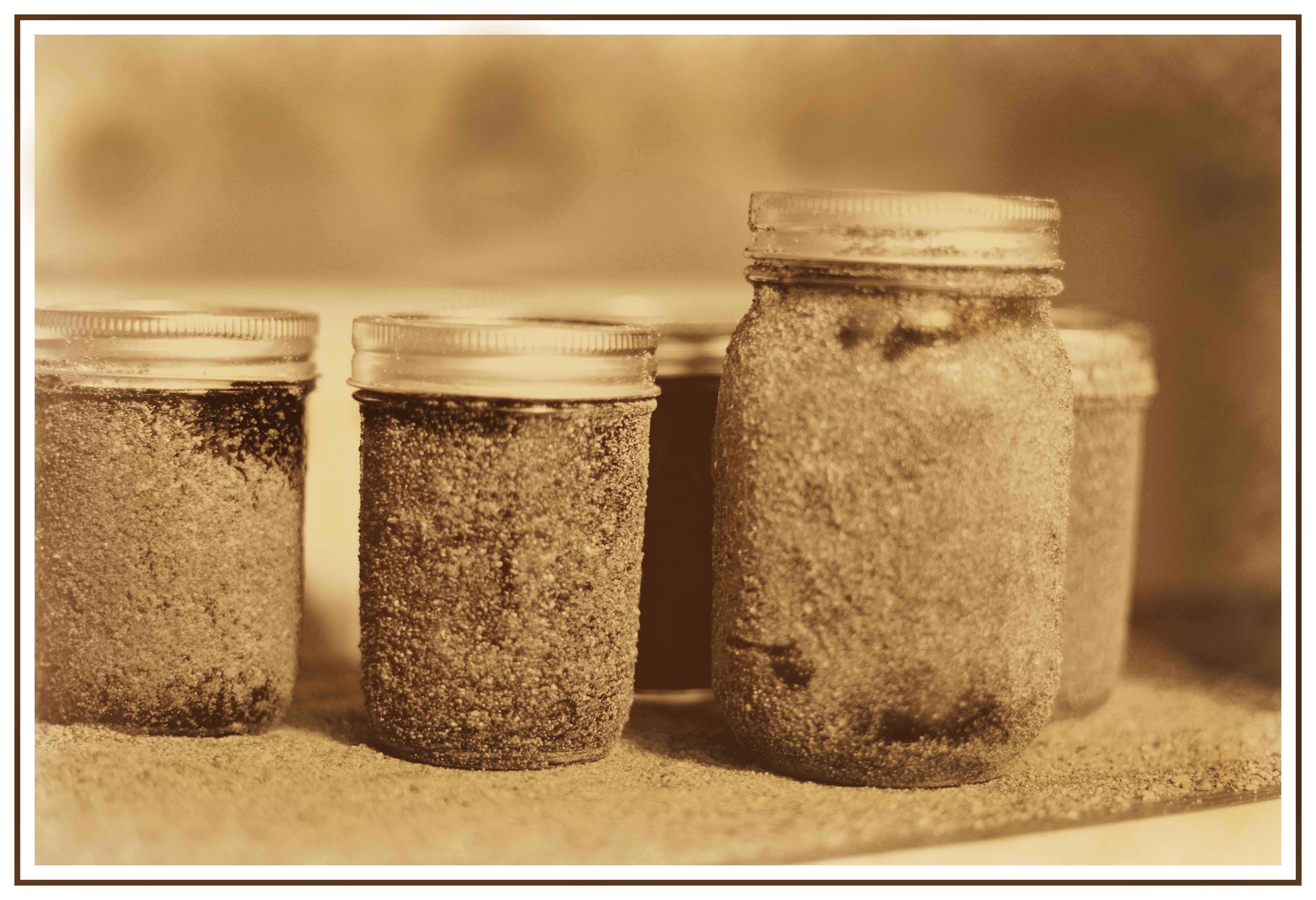 Dusty jars of food.