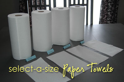 Bounty Paper Towel Size Chart