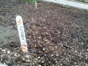Carrot label in a garden.