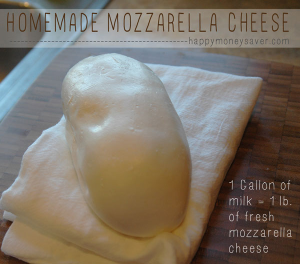 Homemade Mozzarella Cheese : One gallon of milk will give you 1 pound of fresh mozzarella cheese. (I paid $2.39 for the milk - $2.39 for 1 lb. fresh mozzarella). Homemade Mozzarella Cheese is one of the easiest cheeses to make, it only takes 30 minutes and the taste can't be beat! happymoneysaver.com