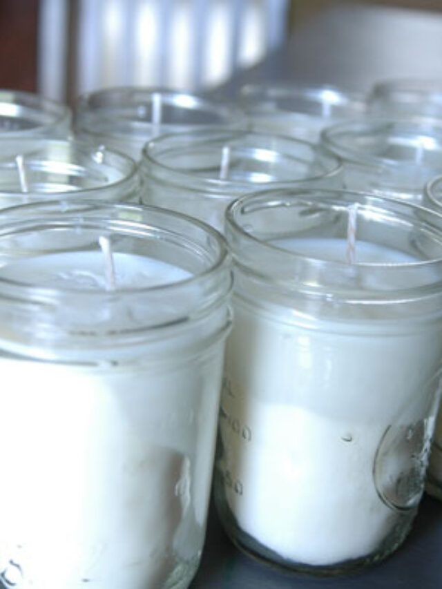 50 Hour Soy Survival Candles