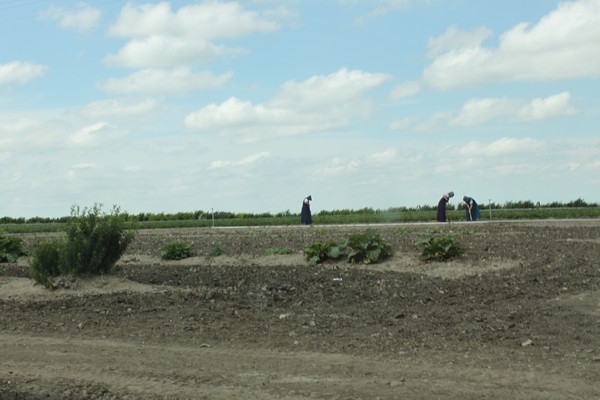 My Visit To A Hutterite Colony {+ How Hutterites are NOT like the Amish