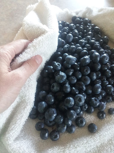 Ho to Freeze Blueberries - best way to preserve flavor for smoothies -Happymoneysaver.com