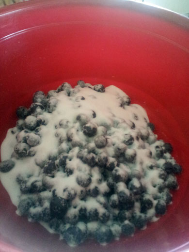 Ho to Freeze Blueberries - best way to preserve flavor for smoothies -Happymoneysaver.com