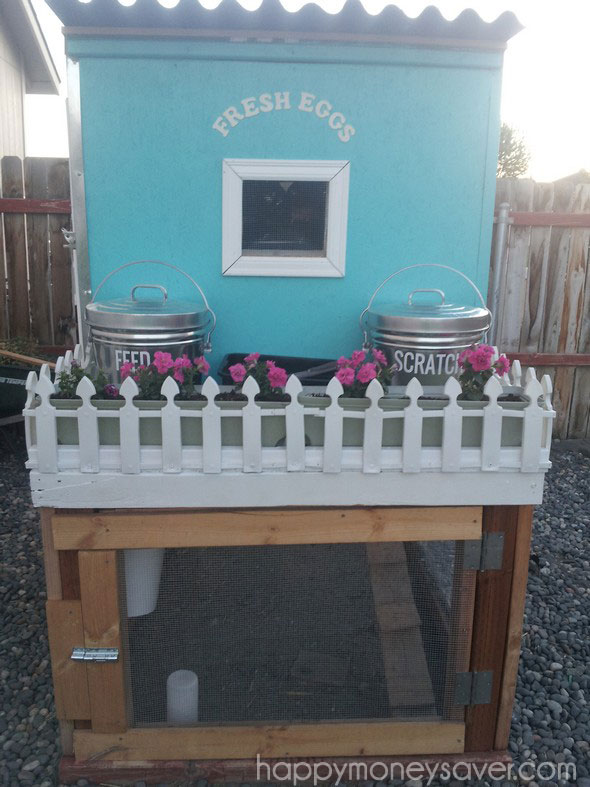 Pretty Chicken coop with picket fence 