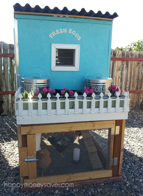 Pretty Chicken Coop with White Picket Fence