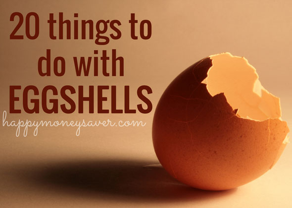 20 Things to do with Eggshells