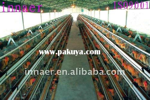 high_quality_poultry_chicken_cage