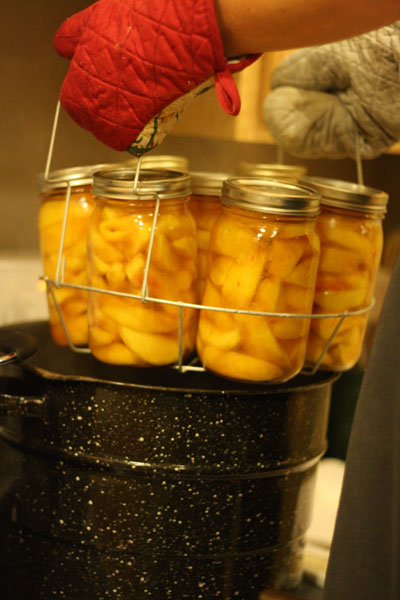 Canning Peaches without sugar