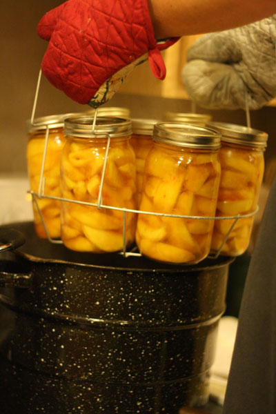 Canning Peaches No Sugar Recipe Easy And Delicious