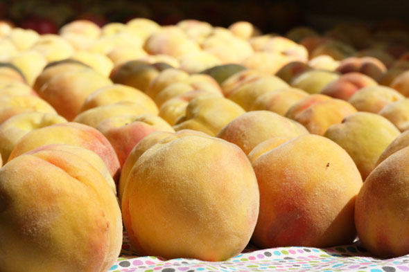 fresh peaches