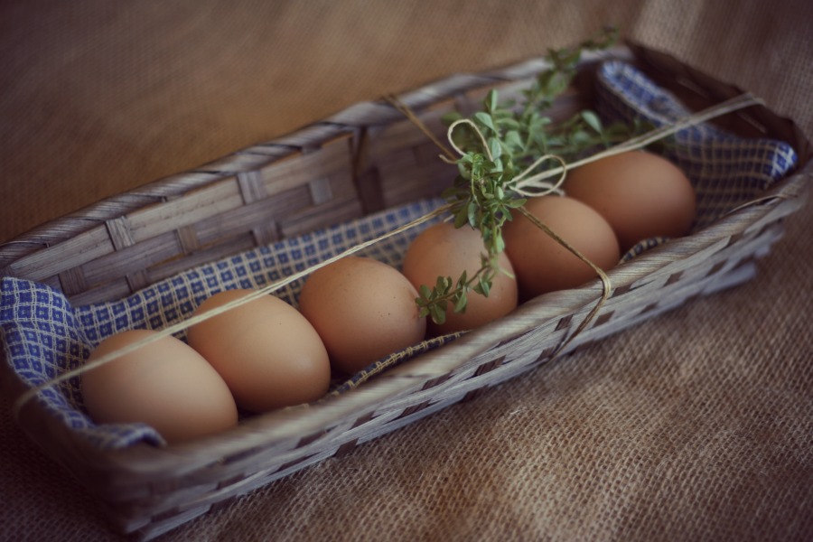 A Lovely gift of farm fresh eggs. 