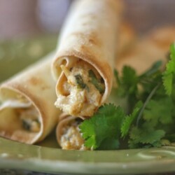 Pile of crispy chicken taquitos with cilantro and pepper-jack cheese.