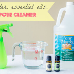 All Purpose Cleaner using 3 ingredients.