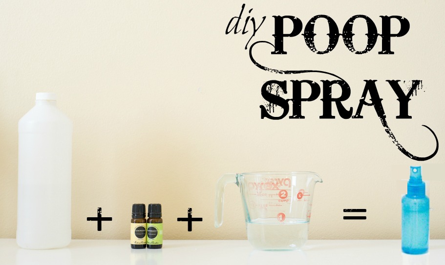 Make your own Poop Spray for crazy cheap! Blocks all the stinky smells in the toilet and leaves the bathroom smelling divine!