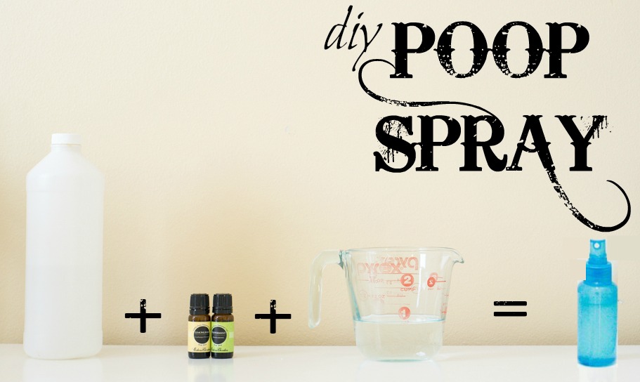 Diy Poo Pourri Recipe To Save Money Get Rid Of That Stink - my poop smells good song roblox