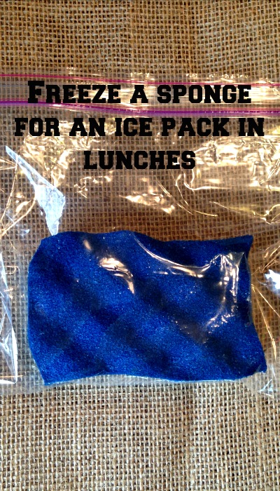 Use a sponge as an ice pack in kid's lunches!