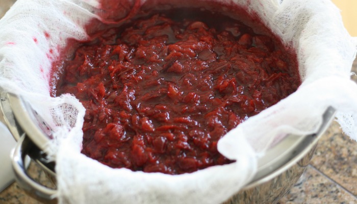 Homemade Wild Plum Jelly- Perfect on a slice of homemade bread!