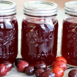 Line of jars of wild plum jelly.
