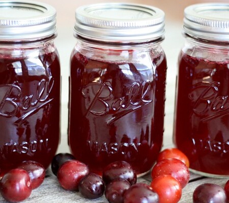 Line of jars of wild plum jelly.