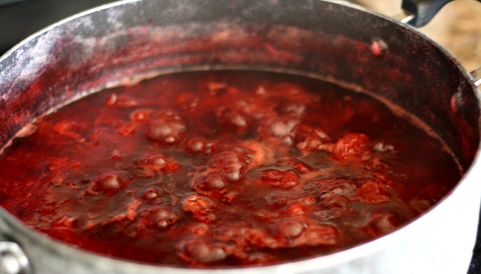 Homemade Wild Plum Jelly- Perfect on a slice of homemade bread!