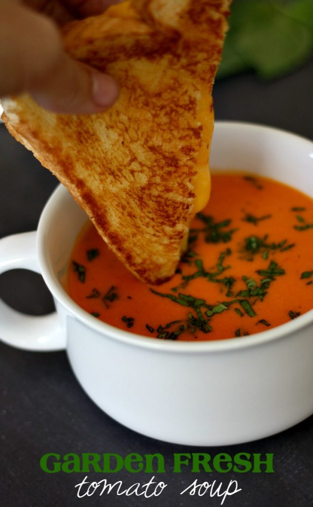 Enjoy the fresh taste of tomato soup in the dead of winter with this freezer friendly Garden Fresh Tomato Soup Recipe.