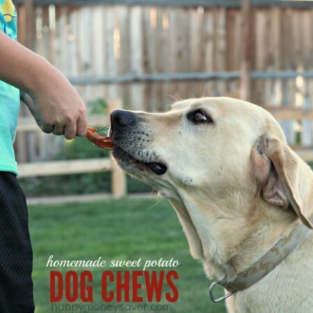 Our dog loves homemade dog chews and we save so much money. Win Win!