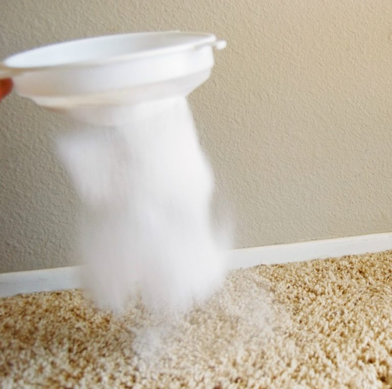 Homemade Carpet Powder Recipe {All Natural}