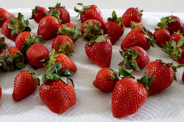 This Easy Freezer Strawberry Sorbet Recipe is healthy, delicious and only uses 3 ingredients! It's so easy that no ice cream machine needed, just a blender! happymoneysaver.com