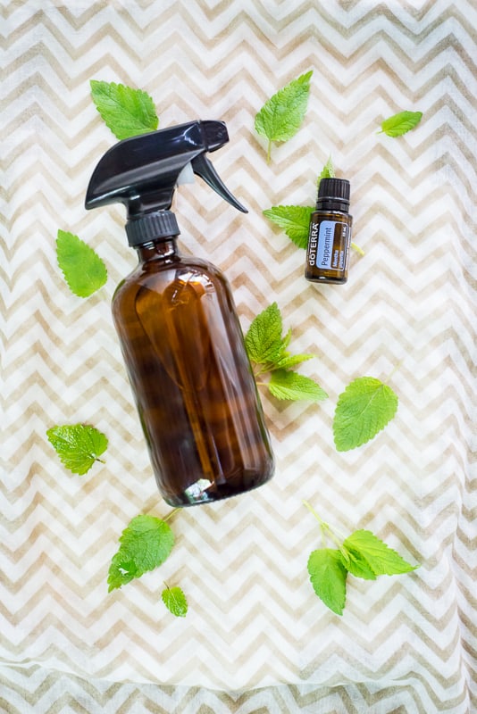 Don't just kill spiders with conventional pest control, keep them away to begin with with this super simple and cheap 2 ingredient natural spider spray! | happymoneysaver.com
