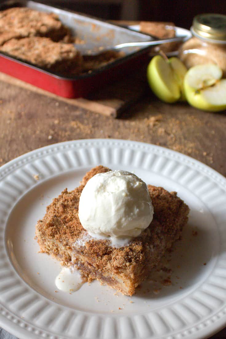 This vintage Apple Brown Betty Recipe is an american classic. Minimum ingredients and time, leaves you with this simple, yet delicious textured dessert! - happymoneysaver.com