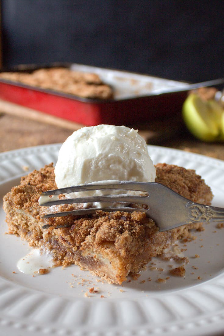 This vintage Apple Brown Betty Recipe is an american classic. Minimum ingredients and time, leaves you with this simple, yet delicious textured dessert! - happymoneysaver.com