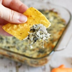 Person holding a chip dipped in spinach artichoke dip.