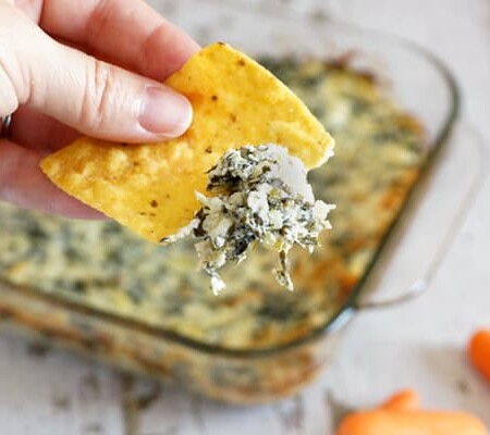 Person holding a chip dipped in spinach artichoke dip.