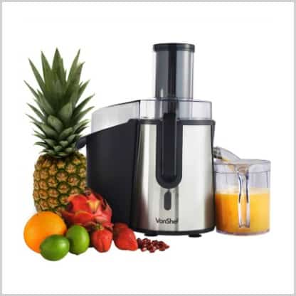 best vegetable juicer 2016