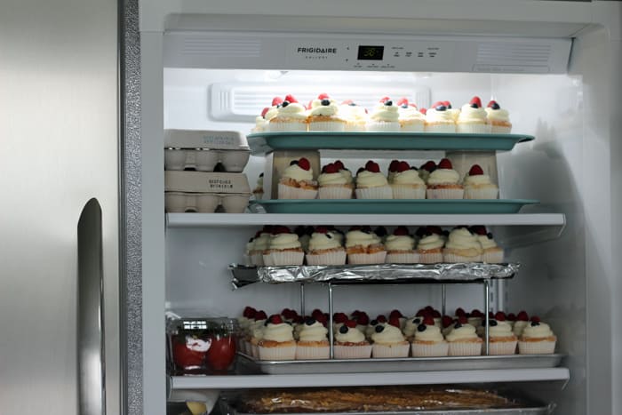 Frigidaire Gallery All Refrigerator - holds tons of food and saves so much time!