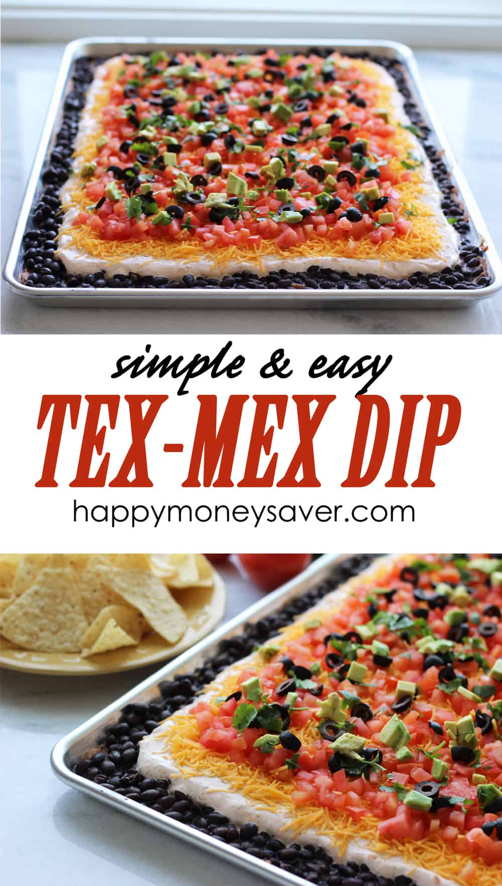 This simple and easy Tex Mex Dip recipe is not only delicious but BEAUTIFUL too! Includes 7 layers of awesome and can feed a large crowd. Tex-Mex Dip Recipe from HappyMoneySaver.com