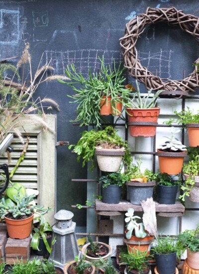 Stuck in a small space? Check out these ideas for creative gardening for small spaces!