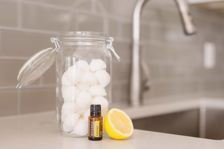 Homemade Garbage Disposal Deodorizer Bombs Happy Money Saver