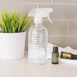 At only $1.52 a bottle, this Homemade Countertop Cleansing Spray is a serious no-brainer. Plus, it is made with natural products that are safe for kids.