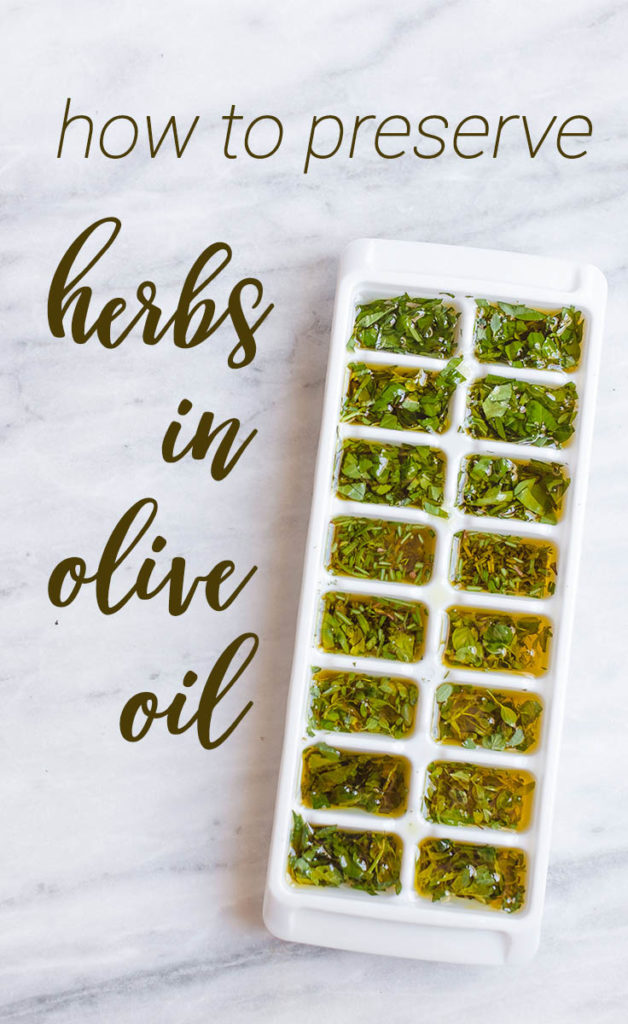 Preserving Herbs with Olive Oil Happy Money Saver