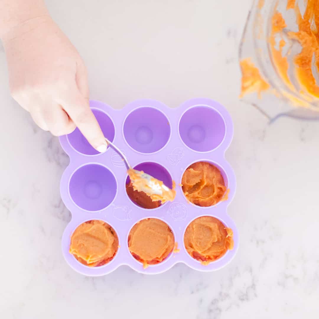 Homemade Make Ahead and Freeze Baby Food - Happy Money Saver