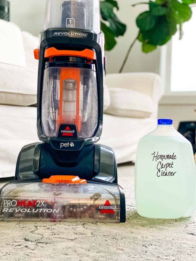 Homemade Carpet Cleaner Solution Happy Money Saver