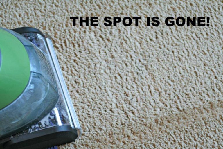 Best Homemade Carpet Cleaner Solution HappyMoneySaver