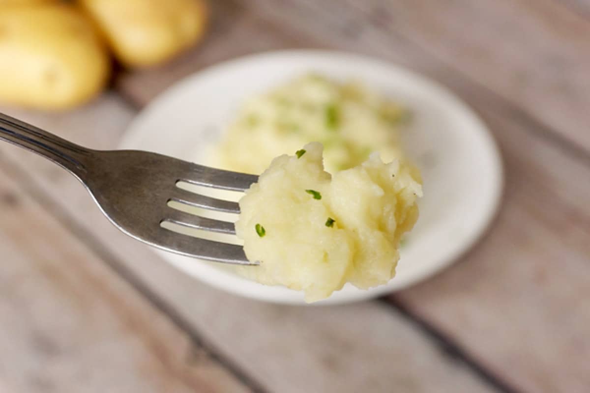 fork with mashed potatoes | make ahead mashed potatoes